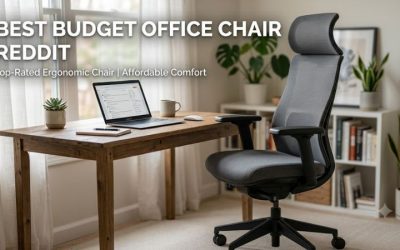 Best Budget Office Chair Reddit Guide: 2026 Top Work Seats