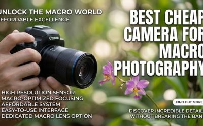 Best Cheap Camera For Macro Photography: 3 Top Budget Picks 2026