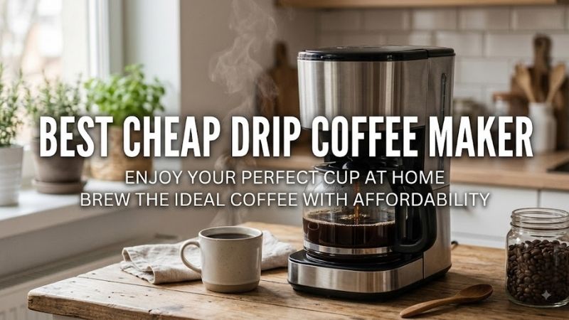 Ninja 12-Cup Programmable Coffee Maker CE251 — Best Overall Performance