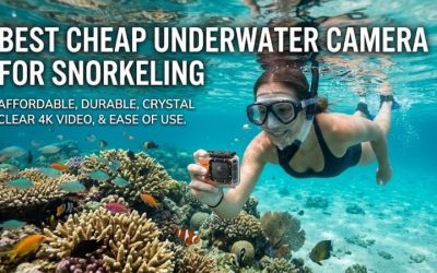 Best Cheap Underwater Camera For Snorkeling: 3 Top Picks for 2026