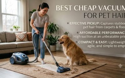 Best Cheap Vacuum Pet Hair: 2026 Top Picks & Buyer Guide