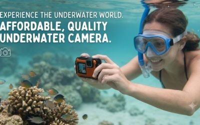 Best Underwater Camera Cheap: 4 Top Budget Picks for 2026