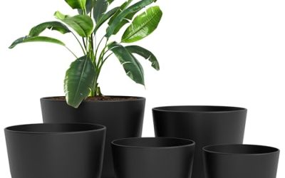 How to Find Discounted Indoor Plants and Planters on Amazon