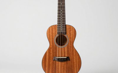 Best Black Friday Ukulele Deals