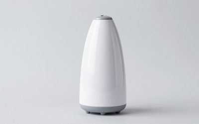 Best Facial Steamers for Home Skincare