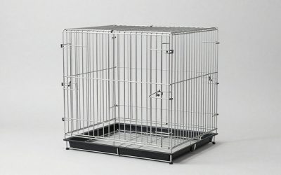 Best Large Flight Cages for Parakeets and Cockatiels
