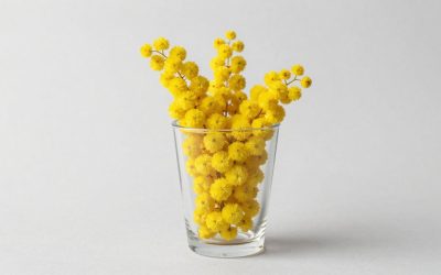 Best Mimosa Bar Kit for Brunch Entertaining