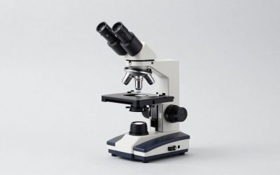Best Premium Research-Grade Microscopes for Home Labs