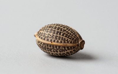 Best Seed 26.2 in 2026: Top Picks for Every Budget