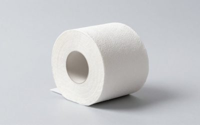 Best Toilet Paper That Doesn’t Leave Lint: 7 Rolls to Try