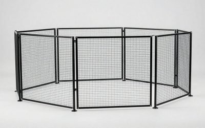 Best Wireless Dog Fences for Safe Yard Freedom